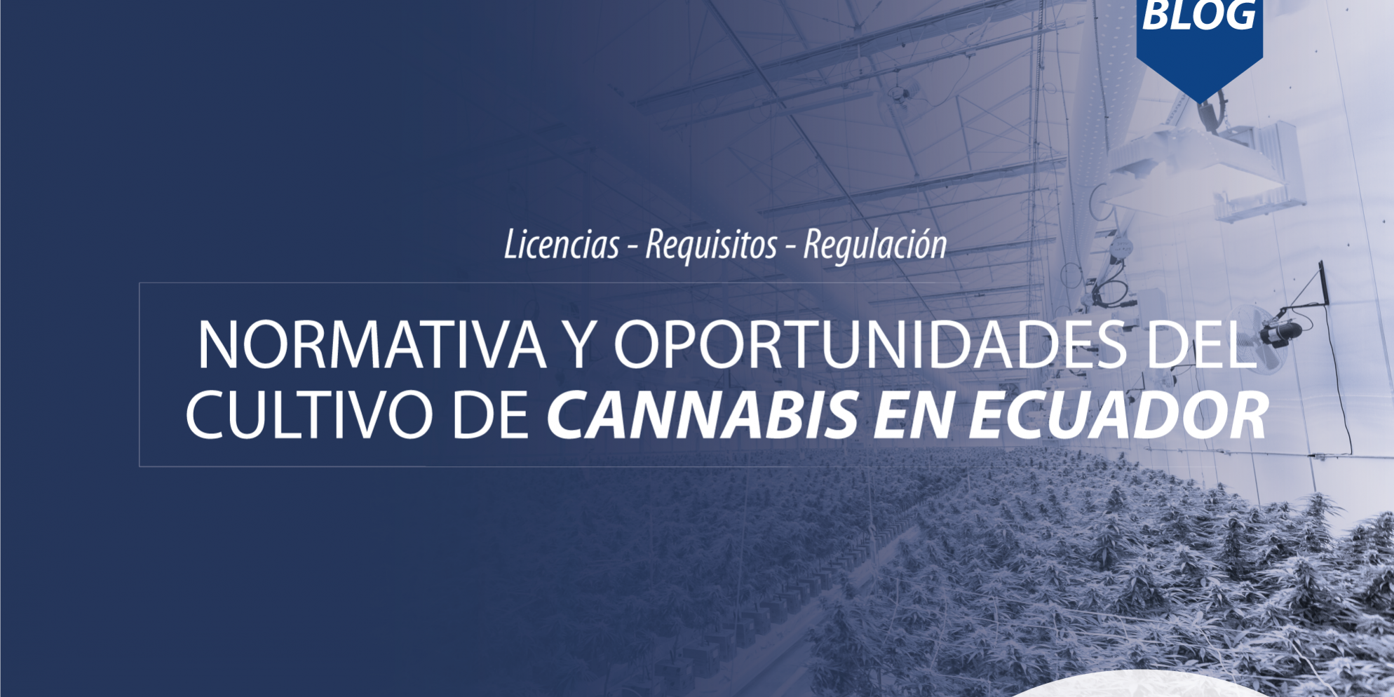 Normas-cultivo-cannabis